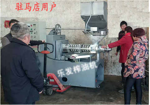 驻马店用户实例