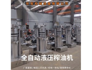 小型立式液压榨油机的优点-市场认可度好