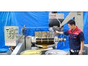 全自动榨油机全套设备有什么?