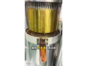 乐发液压榨油机 专注高端精品食用油加工